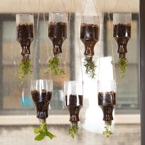 Window Garden Indoor, Upside Down Plants, Painted Bricks Crafts, Upside Down House, Hanging Herb Garden, Diy Herb Garden, Gardening Vegetables, Indoor Herb, Hanging Mason Jars