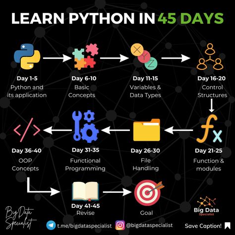 This is a roadmap how to learn Python in 45 days Roadmap For Python, Python Developer Roadmap, Python Learning Roadmap, Python Roadmap, Python Ideas, Computer Science Programming, Basic Computer Programming, Data Science Learning, Css Tutorial