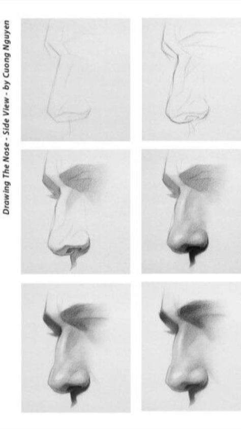 Draw Noses, Nose Drawing, Drawing Course, Human Anatomy Art, Portraiture Drawing, Anatomy Drawing, Charcoal Drawing, Drawing Skills, Anatomy Art