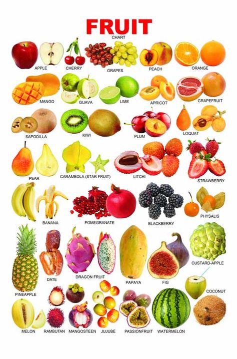 Types Of Fruits And Vegetables, Essen, Types Of Fruits Chart, Fruit Season Chart, Type Of Fruits, Fruit Types, Fruits Name List, Fruits And Vegetables Names, Fruits Name With Picture