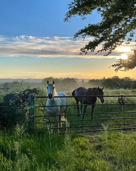 English Countryside Home, Countryside House, British Countryside, Horse Stables, The Cotswolds, Horse Life, Stately Home, The Grove, English Countryside