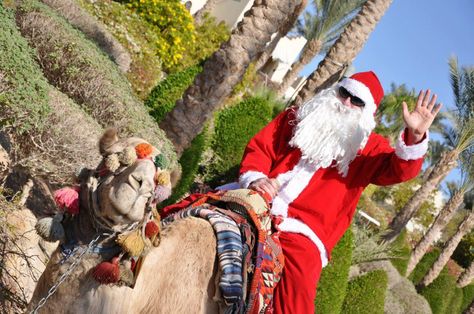 Merry Christmas & Happy new Year from Santa Claus Travel Egypt (",)  reservation@santaclaustravel.com Christmas In Egypt, New Year Packages, Red Sea Diving, Hurghada Egypt, Sea Resort, Egypt Tours, Christmas Tours, Sharm El Sheikh, Christmas Shows