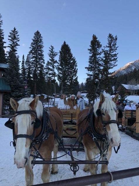 Earlier this week, I told you about my amazing adventure in Big Sky, Montana. You can read all about the phenomenal ski resort and its epic mountains, here; Girls Ski Trip, Montana Winter, Big Sky Resort, Ski Destinations, Family Ski, Montana Travel, Family Ski Trip, Spring Skiing, Big Sky Montana