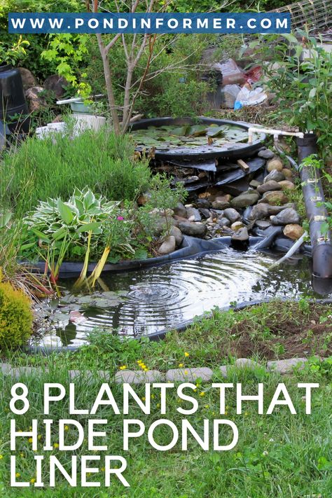 Plants For Pond Edge, Planting Around A Pond, Hiding Pond Liner, Outdoor Pond Ideas Landscaping, Natural Pools Backyard Swimming Ponds Diy, Plants For Water Features, Pond Filter Cover Ideas, Preformed Ponds Ideas, Pond Border Ideas