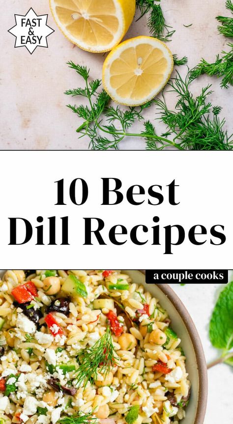 Here are the best dill recipes that use fresh dill! This herb brings a unique punchy flavor to everything from dips to potato salad to salmon. #dill #dillrecipes #bestdillrecipes #howtogrowdill #dillrecipe Fresh Dill Recipes, Salmon Dill, Fresh Herb Recipes, Dill Potatoes, Dill Recipes, Dill Salmon, Roasted Apples, Creamy Cucumber Salad, Basil Recipes