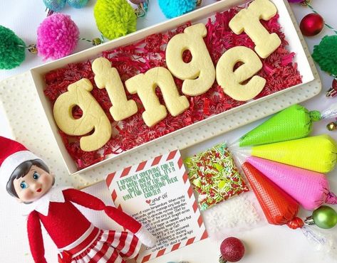 Elf On The Shelf Dessert Ideas, Elf On Shelf Cookies Decorated, Elf Cookie Ideas, Elf On Shelf Cookies, Elf On The Shelf Cookie Ideas, December Treats, Elf On The Shelf Cookies, Cookie Themes, Sugar Cookie Kit