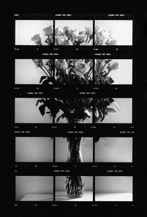 Contact Sheet Photography, Sheet Art, A Level Photography, Contact Sheet, Martin Parr, Valentines Roses, Annie Leibovitz, Black And White Film, A Level Art