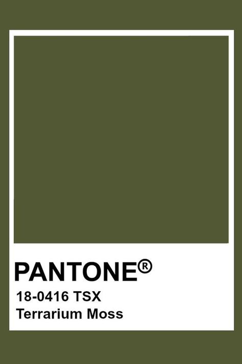 Moss Green Pantone, Green Pantone Colors, Green Colour Pantone, Pantone Olive Green, Moss Green Color Palette, Pantone Cafe, Pantone Green Colors, Pantone Green Shades, Green Pantone