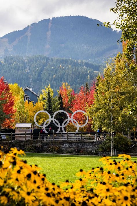 Whistler Canada, Changing Leaves, Fall Day, Whistler, In The Fall, Autumn Day, British Columbia, Fall Season, The Fall