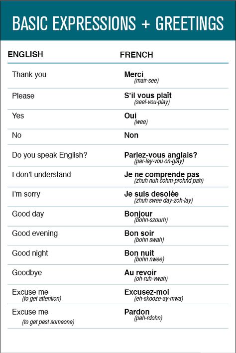 French - Basic Expressions & Greetings | Flickr - Photo Sharing! Greetings In French, French Gcse, France Language, Studying French, French Notes, Gcse French, French Language Basics, French Greetings, Useful French Phrases