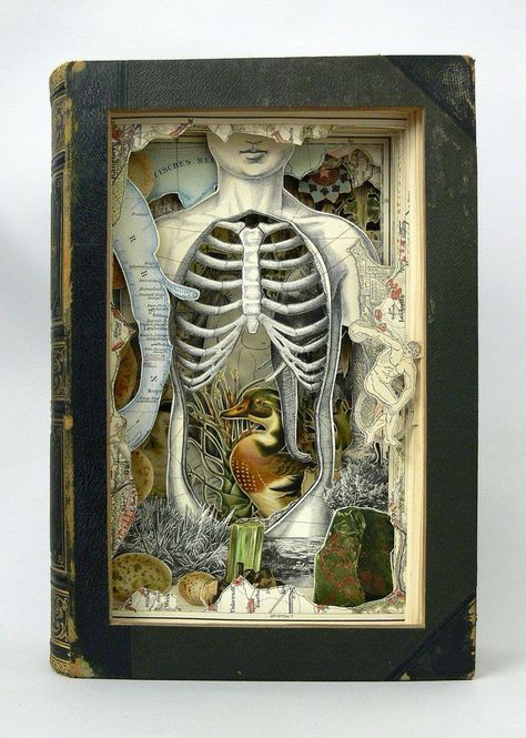 I love the way Cornell could make such interesting pieces out of so many things that were unrelated to each other! The ultimate art recycler! Shadow Box Kunst, Kunstjournal Inspiration, Altered Book Art, Shadow Box Art, Book Sculpture, Gcse Art, Arte Sketchbook, Assemblage Art, Arte Popular