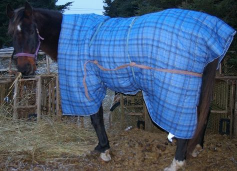 Dogs have Masters, Cats have Staff but Horses…, Horses have Slaves! With two more horses added to my small herd, 24 year old Bonanza and 26 year old Shaman, and no traditional stable, I neede… Diy Horse Blanket, Winter Horse Blanket, Horse Blankets Winter, Horse Barn Designs, Diy Horse, Horse Blanket, Winter Horse, Equine Therapy, Horse Equipment