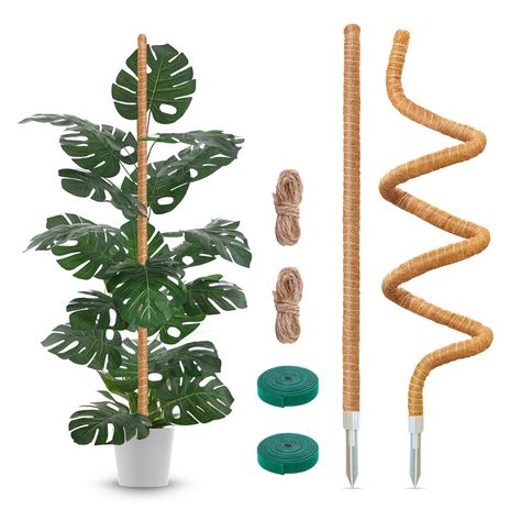 PRICES MAY VARY. Proper Length,Rich Accessories: Our moss pole set include 2 pack 47 inches 3.93 ft handmade moss poles. Comes with 2 x 6.6 feet twine and 2 x 6.6 feet velcro strips.Use jute rope to bind the plant to the moss pole to set the shape and help the baby plants to be thrived. Our moss poles provide a more natural and diverse growth direction for plants and help plants to get more sunlight and water, then the plants will grow bigger and more mature leaves Quality Coco Coir Materials;Be Monstera Staking, Indoor Climbing Plants, Creepers Plants, Plants Monstera, Plant Cages, Moss Pole, Indoor Oasis, Plant Ties, Coco Coir