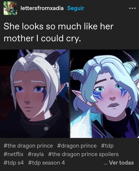 Dragon Price, Rayla X Callum, Rayla Dragon Prince, Httyd Funny, Prince Dragon, The Dragon Prince, Dragon Princess, Miss Her, Me As A Girlfriend