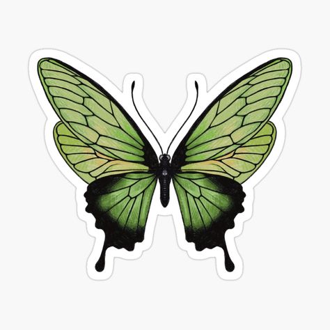 Get my art printed on awesome products. Support me at Redbubble #RBandME: https://www.redbubble.com/i/sticker/Green-butterfly-by-ElinnilART/150310999.EJUG5?asc=u Sticker Art Aesthetic, Stickers Butterfly, Noli Me Tangere Design, Green Stickers Aesthetic, Green Printable Stickers, Green Stickers Aesthetic Printable, Cute Green Stickers, Green Stickers, Butterfly Stickers