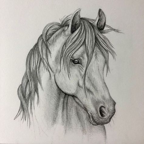 Sketch Horse, Horse Head Drawing, Brother And Sister Tattoo Ideas, Snow Tattoo, Sister Tattoo Ideas, Drawing Horse, Horse Art Drawing, Pencil Drawing Images, Sister Tattoo