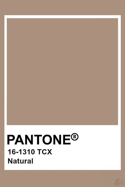 Tan Pantone Color, Tan Colour Pallete, Tan Color Aesthetic, Tan Colour Palette, Tan Pantone, Bonsai Aesthetic, Beige Pantone, Tan Color Palette, Brown Pantone