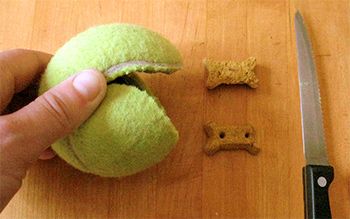 DIY Dog Puzzle - Tennis Ball Kong Toy Diy Dog Puzzles, Puppy Obedience Training, Diy Dog Toys, Positive Dog Training, Easiest Dogs To Train, Basic Dog Training, House Training Dogs, Dog Games, Dog Puzzles