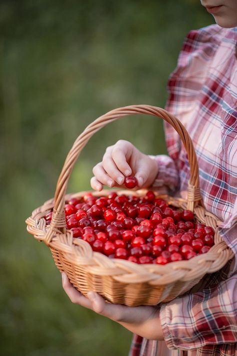 Fruit Bag, Apple Orchard, Something Sweet, Wicker Baskets, Red Peppercorn, Decorative Wicker Basket, Cranberry, Fruit