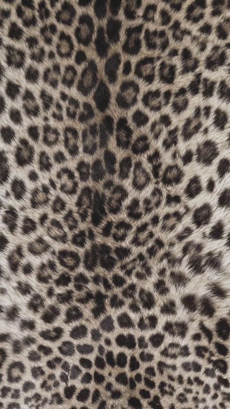 Lepord Print 2000s Wallpaper, Leopard Print Wallpaper Iphone, Chic Wallpaper Iphone, Leopard Wallpaper Iphone, Cheetah Print Background, Cheetah Wallpaper, Leopard Print Background, Leopard Print Wallpaper, Cheetah Print Wallpaper