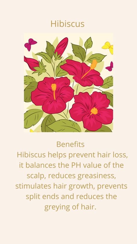 Hibiscus Flower Benefits, Hibiscus For Hair, Hair Oil Products, Hair Damage Repair, Oil For Dry Hair, Hair Fertilizer, Before And After Hair, Grow Thicker Hair, Skincare Solutions