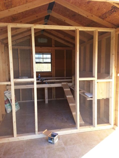 Chicken Kennel Ideas, Garden Shed Chicken Coop Ideas, Chicken Coop Add On To Shed, Chicken Coop And Pig Pen, Chicken Coop Designs Shed, Chicken Coop Inside Shed, Shed Into Duck Coop, Diy Metal Chicken Coop, 12x12 Chicken Coop Plans