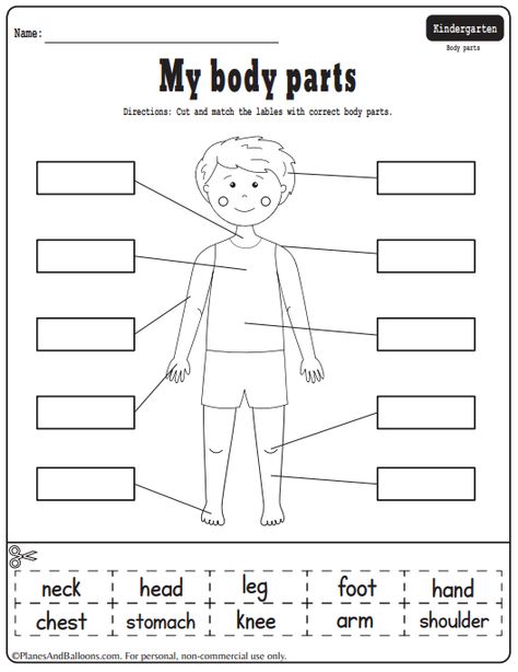 The Human Body Worksheets, Body Parts Worksheet For Grade 1, Parts Of The Body Worksheet Kindergarten, My Body Parts Activities, Parts Of The Body Worksheets Preschool, Body Parts Worksheet Kindergarten, Body Parts Activity For Kindergarten, Parts Of The Body For Kids Activities, My Body Worksheets For Kids