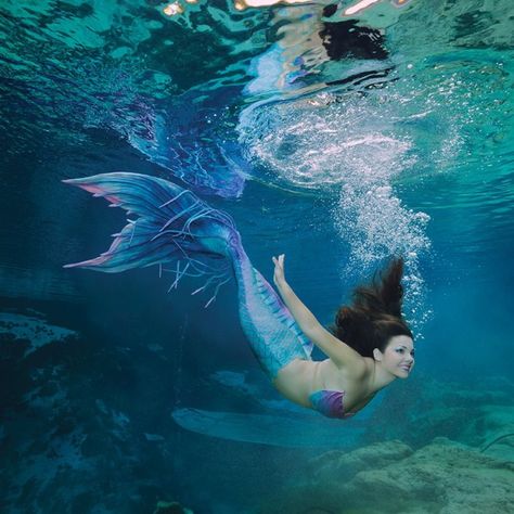 These 18 Magical Photos Of Florida's Live Mermaid City Will Leave You Speechless Weeki Wachee Mermaids, Real Life Mermaids, Mermaid Photography, Silicone Mermaid Tails, Mermaid Cove, Fantasy Mermaids, Mermaid Photos, Mermaid Drawings, Real Mermaids