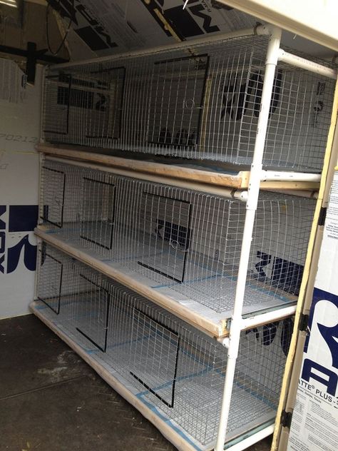 Each hole is 24x24 The cages themselves hang from the PVC which allows the sides to extend further from the walls of the cages. The pans are made from wood, covered in a heavy gauge plastic to protect them. They are a single pan per level to keep rabbits from peeing in between trays onto rabbits below. They are attached by drawer slides. To clean them I just pull out the "drawer" lift out puppy pads, wipe down the plastic, replace the puppy pads or incontinence pads. Reban Ayam, Rabbit Hutch Plans, Diy Rabbit Cage, Diy Rabbit Hutch, Rabbit Farm, Poultry Cage, Meat Rabbits, Raising Rabbits, Rabbit Cage