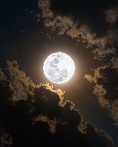 Full Moon Pictures, Moon Photos, The Moon Is Beautiful, Moon Pictures, Moon Photography, Super Moon, Dark Moon, Moon Lovers, The Full Moon