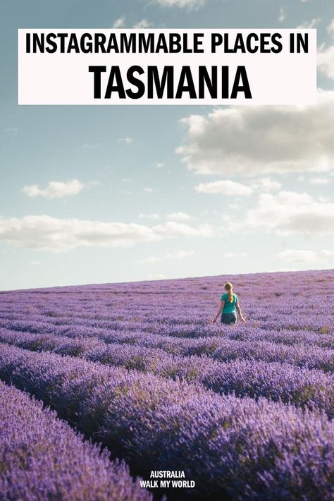 The 12 Most Instagrammable Places in Tasmania — Walk My World Instagramable Places, Tasmania Road Trip, Zion National Park Hikes, Tasmania Travel, Lightning Storms, Australia Queensland, Bruny Island, Australia Itinerary, Most Instagrammable Places