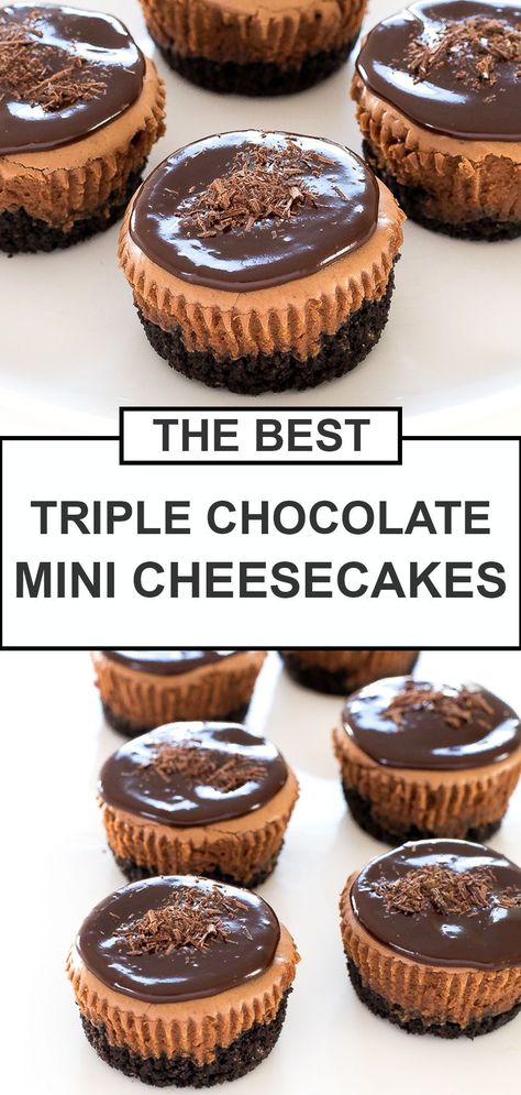 Chocolate Mini Cheesecakes, Mini Cheesecake Cupcakes, Biscotti Cheesecake, Triple Chocolate Cheesecake, Easy No Bake Cheesecake, Mini Cheesecake Recipes, Oreo Cookie Crust, Cheesecake Mini, Cheesecake Cake