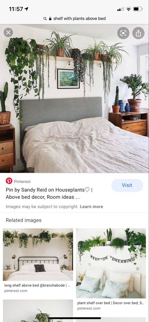 Over The Bed Plants, Shelf Over Bed With Plants, Shelf Over Bed Boho, Over The Bed Plant Shelf, Long Plant Shelf Above Bed, Above The Bed Plant Shelf, Plant Shelves Over Bed, Plants Over Bed Shelf, Plants Over Headboard