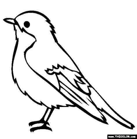 Pied Flycatcher Coloring Page | Free Pied Flycatcher Online Coloring