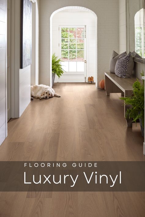 Beautiful luxury vinyl planks, look like real hardwood floors.  Long entryway shown with a bench leads to full glass window door.  A fluffy blond labrador lounges on the floors.  She looks content and satisfied with the luxury vinyl flooring her owner choose.  The floors are soft for her to walk on and are easier for her owner to clean up when she tracks in mud. Vinyl Flooring For Living Room, Luxury Vinyl Plank Flooring With Dark Cabinets, Modern Vinyl Flooring Bathroom, Modern Vinyl Flooring Living Room, Light Brown Vinyl Flooring, Luxury Vinyl Plank Flooring Kitchen With White Cabinets, Vynl Flooring Living Rooms, Luxury Vinyl Flooring Living Room, Luxury Vynil Plank Flooring Ideas