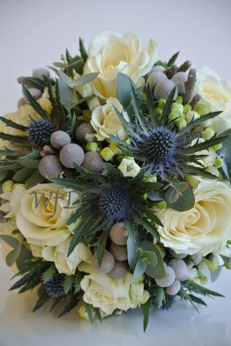 Brides bouquet, Thistle, white bouvardia, ivory spray rose, Avalanche rose and Brunia balls. Hydrangea And Thistle Bouquet, Bouquet Thistle, Bridal Bouquet Thistle, Thistle Bouquet Wedding, Globe Thistle Bouquet, Scottish Wedding Bouquet Thistles, White Roses Blue Thistle Bouquet, Avalanche Rose, Thistle Bouquet