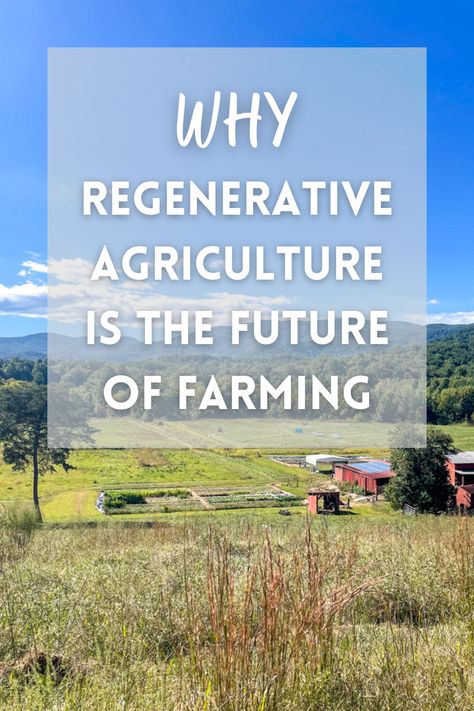 Aerial photo of a regenerative farm, overlaid with the text: "Why Regenerative Agriculture is the Future of Farming" Regenative Agriculture, Farming Ideas Agriculture, Regenerative Gardening, Sustainable Development Projects, Snail Farming, Starting A Farm, Farm Hacks, Regenerative Farming, Sustainable Food Systems