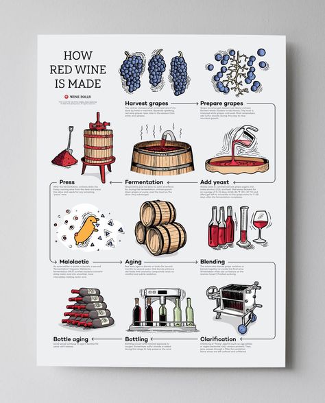 How Red Wine is Made Step by Step | Wine Folly Best Sangria Recipe, Wine Folly, Wine Map, Wine Education, Wine Poster, Wine Guide, Wine Pairing, Wine List, Wine Making