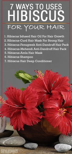 Are you worried if your hair is losing its sheen and shine? Have you ever used hibiscus for hair? Then this post is for you! Check out these amazing ways of using hibiscus for hair Hibiscus For Hair, Hibiscus Benefits, Hibiscus Hair, Ayurveda Hair, Deep Hair Conditioner, Hair Dandruff, Hair Pack, Hair Control, Hair Vitamins