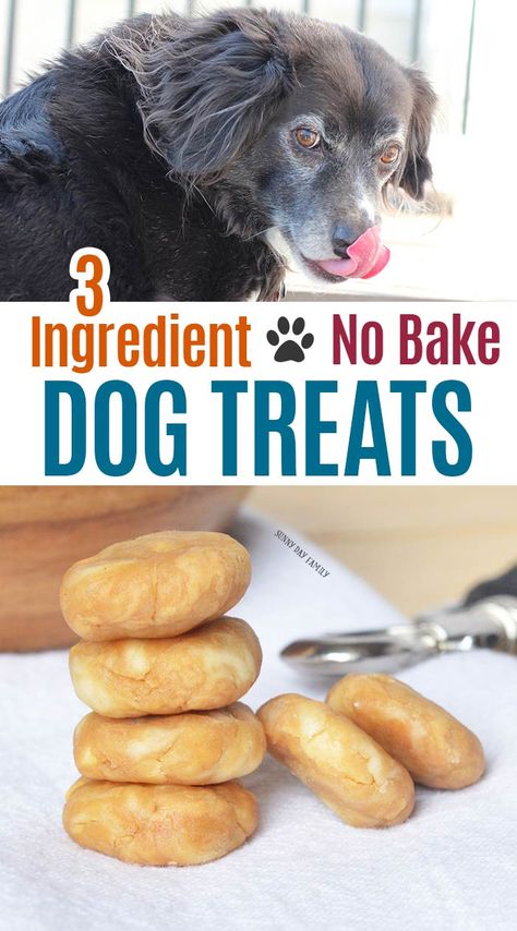 Super easy homemade dog treats your pup will love! These no bake dog treats are perfect to use as pill pockets too. They also make great training treats or are a great homemade gift for dog lovers! So easy kids can make them. Your dog will go nuts for these! #dogtreats #diydogtreats #homemade #easypetrecipes #dogs #dogmom #dogtraining Bake Dog Treats, No Bake Dog Treats, Dog Treats Recipe, Homemade Dog Cookies, Pill Pockets, Dog Treats Homemade Easy, Easy Dog Treat Recipes, Frozen Dog Treats, Dog Biscuit Recipes