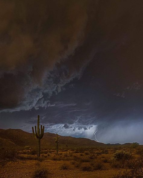 Desert Storm Aesthetic, Desert Gothic Aesthetic, Creepy Desert Aesthetic, Desert Horror Aesthetic, Winter In The Desert, Desert At Night Aesthetic, Desert Cryptid, Desert Witch Aesthetic, Scary Desert