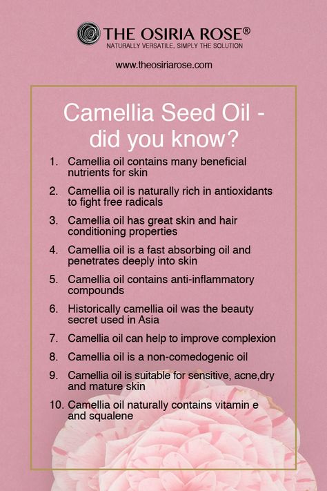 Did you know about the skin benefits of Camellia Seed Oil? Read now to find out. Camellia Oil Benefits, 40s Women, Skincare 101, Skin And Hair Care, Oil Skin, Camellia Oil, Human Canvas, Asian Skincare, Carrier Oil