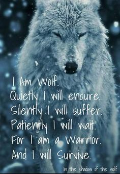 Lone Wolf Quotes, I Will Survive, I Am A Warrior, Wolf Quotes, Wolf Love, She Wolf, Wolf Spirit, Warrior Quotes, Lone Wolf