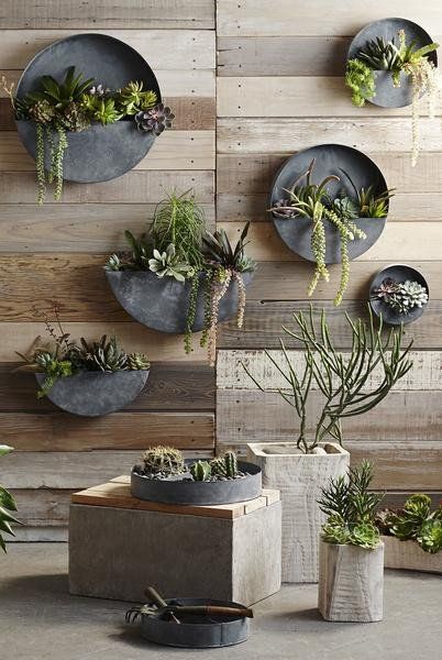 LIVING WALLS: For the brick walls between the windows. these are for succulent plants only. Orbea Zinc Planters by Roost Wildflower Wallpaper, Wall Planters Outdoor, Zinc Planters, Vertical Wall Planter Pots, Planters Outdoor, Vertical Wall Planters, Vertical Vegetable Garden, Trendy Plants, Vertical Garden Wall