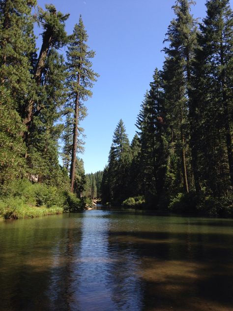 American River American Forest Aesthetic, Moose Blood, American Wilderness, American Nature, New River, Story Board, America And Canada, Nature Aesthetic, Get Outside