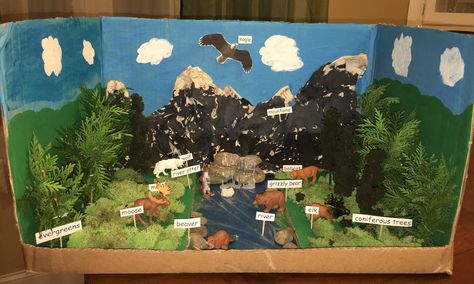 Taiga Biome Diorama 5BD Landform Projects, Biomes Project, Ecosystems Projects, Healthy Community, Habitats Projects, Montessori Geography, Geography Activities, Teaching Geography, Homeschool Social Studies