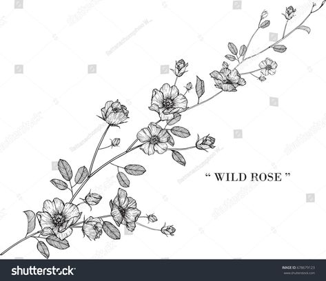 Wild Rose Flower Tattoo, Climbing Roses Drawing, Iowa Wild Rose Tattoo, Climbing Flower Tattoo, Climbing Rose Tattoo For Women, Climbing Roses Tattoo, Wild Irish Rose Tattoo, Wild Rose Tattoo Design, Climbing Rose Tattoo