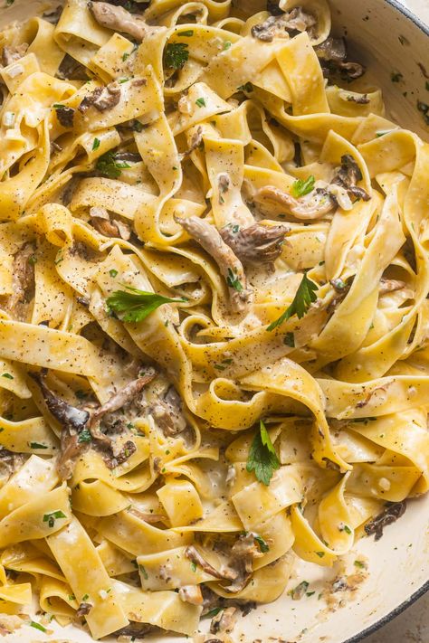 Creamy Mushroom Pappardelle, Mushroom Parpadelle Recipes, Mushroom Pappardelle Pasta, Portabella Mushroom Pasta Recipes, Creamy Pappardelle Recipes, Chicken Pappardelle Recipes, Papardelle Ao Funghi, Papadeli Pasta, Porcini Mushroom Pasta