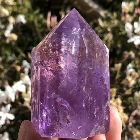 Top Quality Ametrine Tower | Mooncat Crystals www.mooncatcrystals.com Amethyst Crown, Natural Magic, Crystal Aesthetic, Solar Plexus, Amethyst Purple, Types Of Stones, Crown Chakra, Crystal Points, Rocks And Crystals