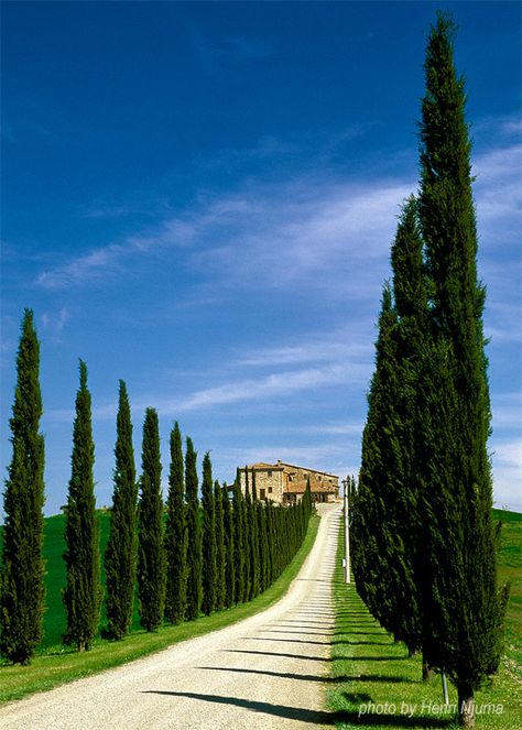 hnj jpg author njuma henri Toscana Italia, Under The Tuscan Sun, Living In Italy, A Hill, Old Building, Tuscany Italy, Wonderful Places, Italy Travel, Dream Vacations